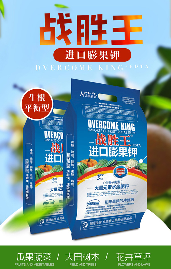 戰(zhàn)勝王膨果水溶肥對(duì)西紅柿效果好