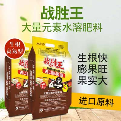 茄子用什么沖施肥好？什么時(shí)候使用？