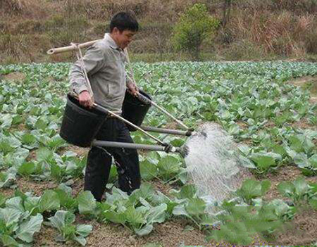 沖施肥是什么？是方法還是肥料的分類？