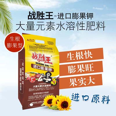 大棚蔬菜應(yīng)該如何施肥？施什么肥好？